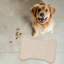Tapis rose en forme d'os 1 pièce