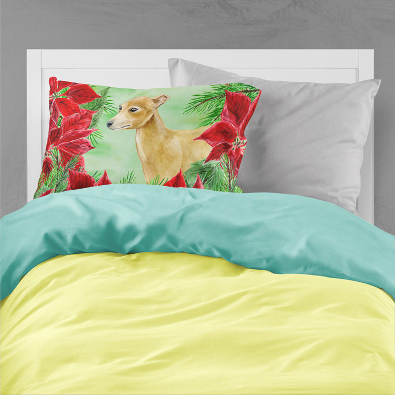 Microfiber, Italian Greyhound