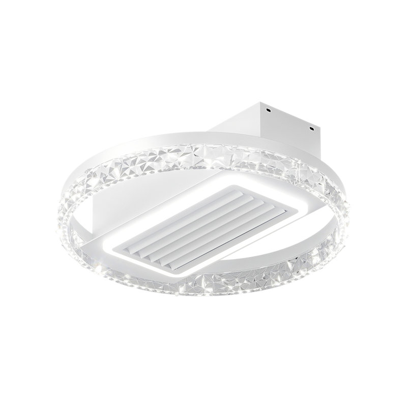 Ceiling Fan with LED Lights