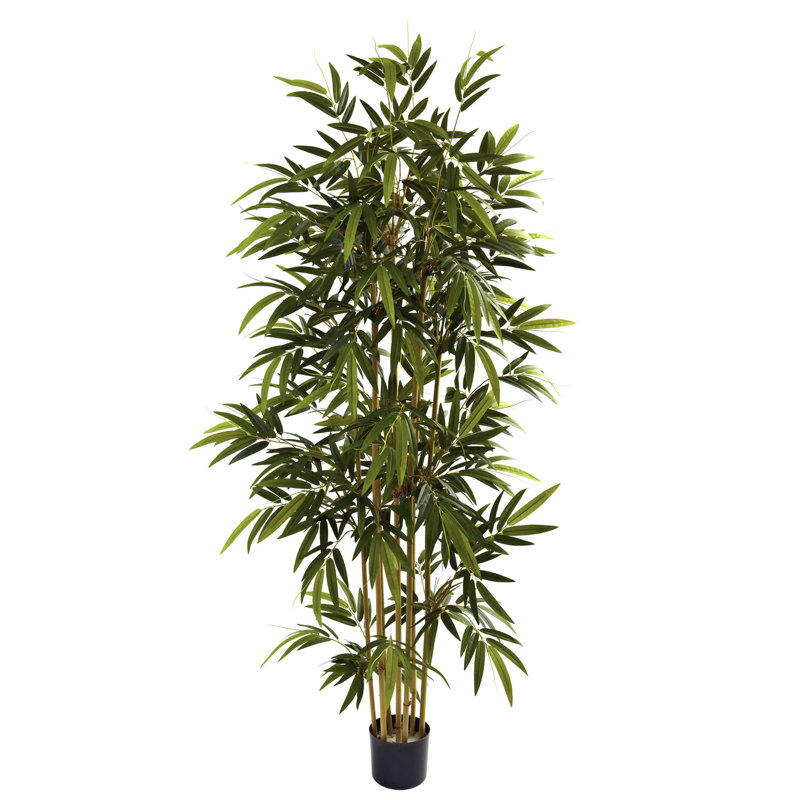 72'' Faux Bamboo Tree in Planter