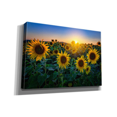 'Aroostook Sunset' by Rick Berk Canvas Wall Art