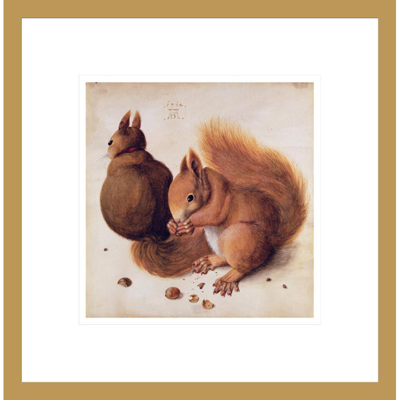 «Squirrels» par Albrecht Dürer, impression giclée sur cadre, H 14,02 po x l 13,75 po