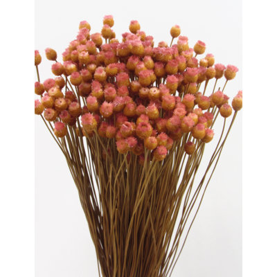 Mixed Assortment Arrangement