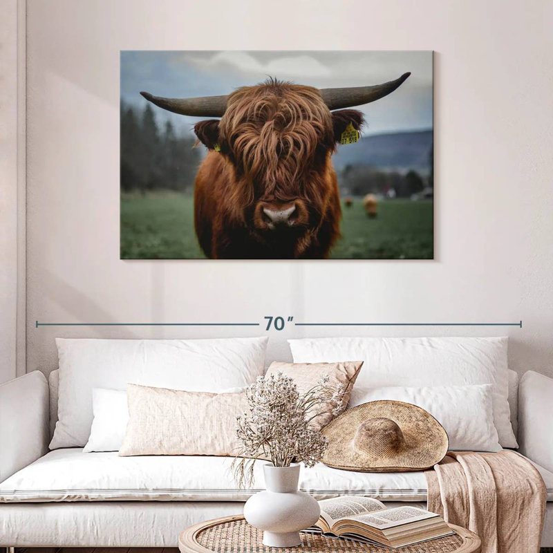 Brampt allemand Highland Cow, H 30 po x l 45 po