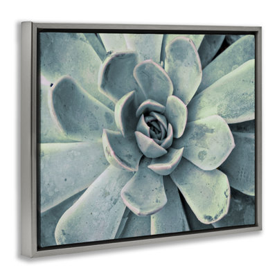 "Green Cactus Succulent", art mural sur toile flottante noire par Susan Bryant