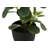 Martinez 14'' Faux Ficus Plant in Polypropylene (Pp) Pot