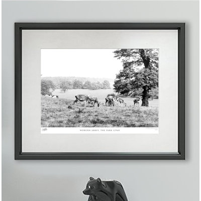 Woburn Abbey, The Park C1960 - Single Picture Frame Print