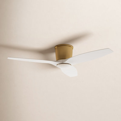 Ventilateur de plafond avec lumières DEL Aisling