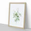 White Blooming Roses by Pierre-Joseph Redoute - Framed Print-55612152-55612151