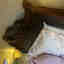 Customer photo 2 of 2