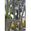 Chaise empilable Sunstripe