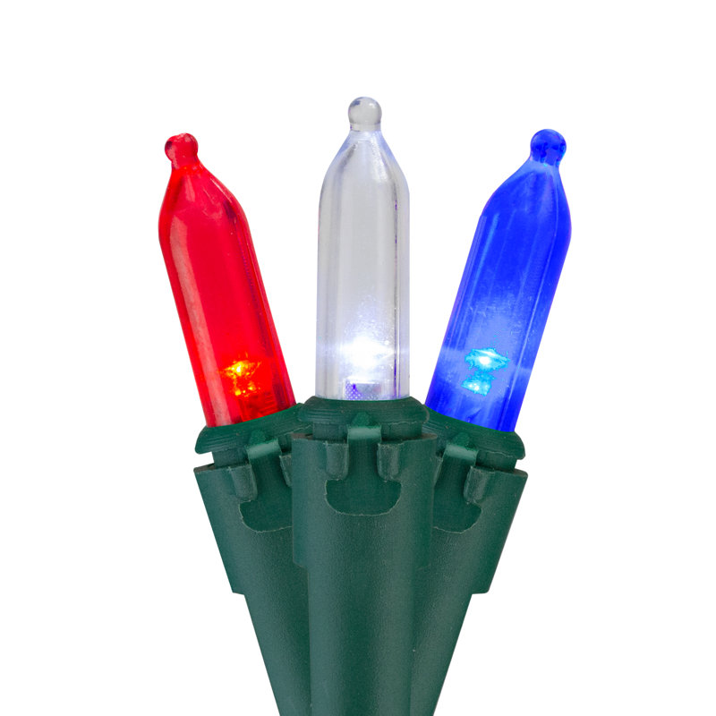 String Lights, 100, 408"