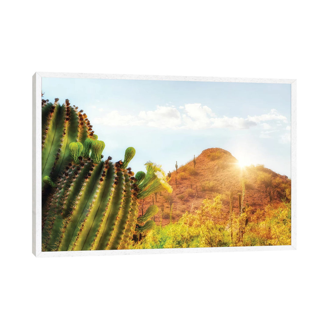 Arizona Desert Scene With Mountain And Cactus von Susan Richey - Gallery-Wrapped Canvas Giclée