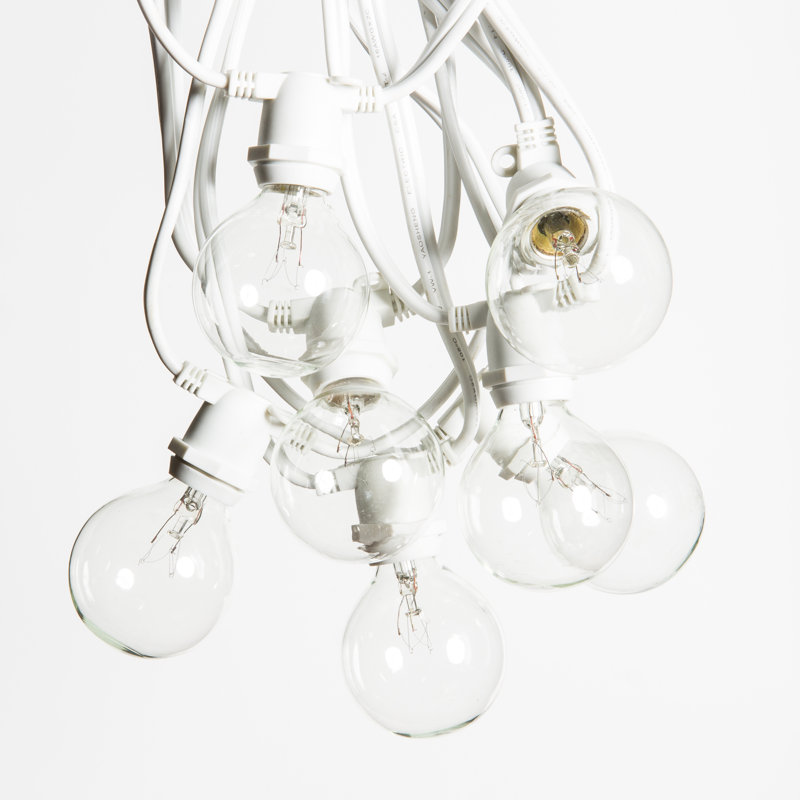 Outdoor 40 - Bulb 600'' Plug-in Globe String Light, White