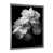 Silver Picture Framed is unavailable