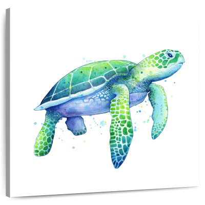 Crowle Sea Turtles