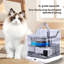Cavallo 3000ml Pet Fountain
