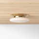 Alexander Single Light Glass LED Flush Mount