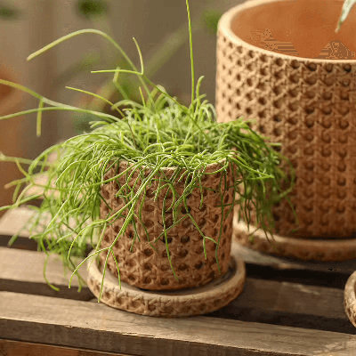 Briony Pot Planter