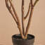 Rosier artificiel en pot Adcock Premium-54968080-54968084