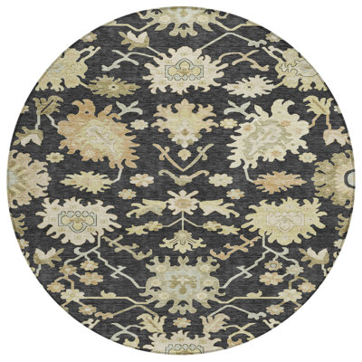 Louis Black Washable Indoor-Outdoor Rug - 