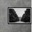 Museum Campus In Black & White Print