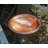14-in Solid Copper Hanging Birdbath