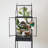 Botanist 74.75'' H x 21.25'' W Iron Display Case