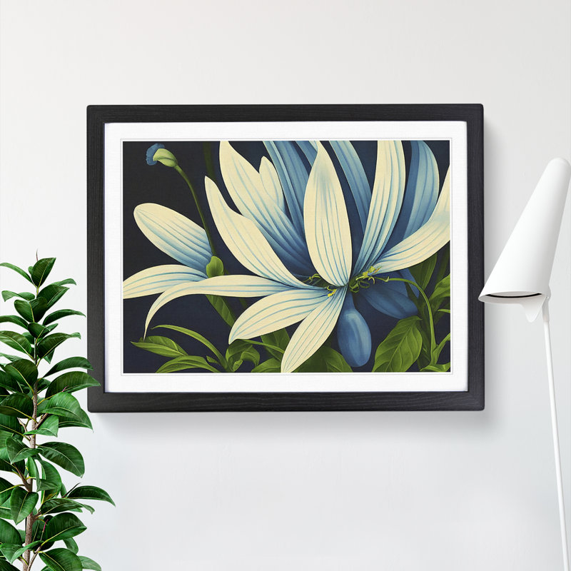 Bewitching Flowers - Single Picture Frame Print, Black Framed, 25cm H x 34cm W x 2cm D