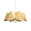 Physalis 1 - Light Pendant-99842394-99842395