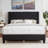 Solid Wood Platform Bed Frame with Diamond & Nailhead Trim Wingback-88087626-88087627