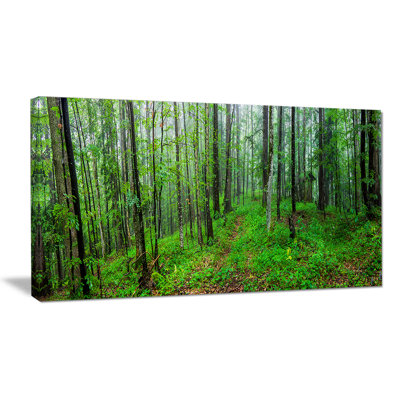 Wrapped Canvas Print
