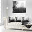 Noir et blanc paysage brumeux Panorama - paysage imprimé coussin-29455493-29455497
