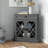 Janicki Accent Cabinet-331207162