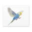 No Frame Print on Canvas-1582834937