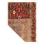 Oriental Area Rug in Rust