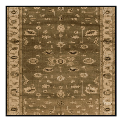 Machine Washable Overdyed Brown Area Rug