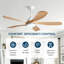 Ventilateur de plafond 52 po Modern Farmhouse-1507209542