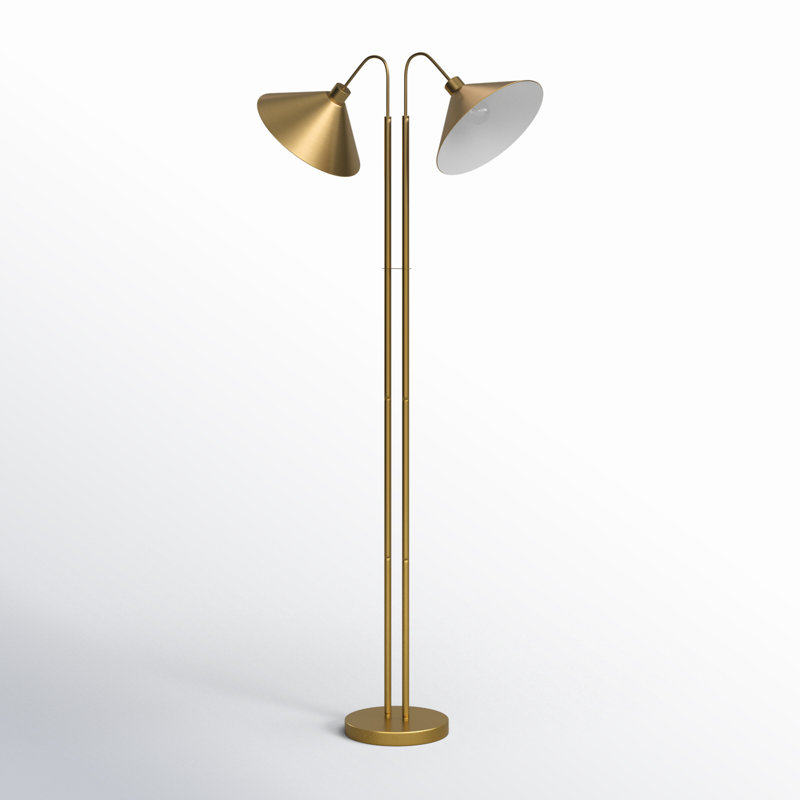 Fayra 2 - Light Gooseneck Floor Lamp
