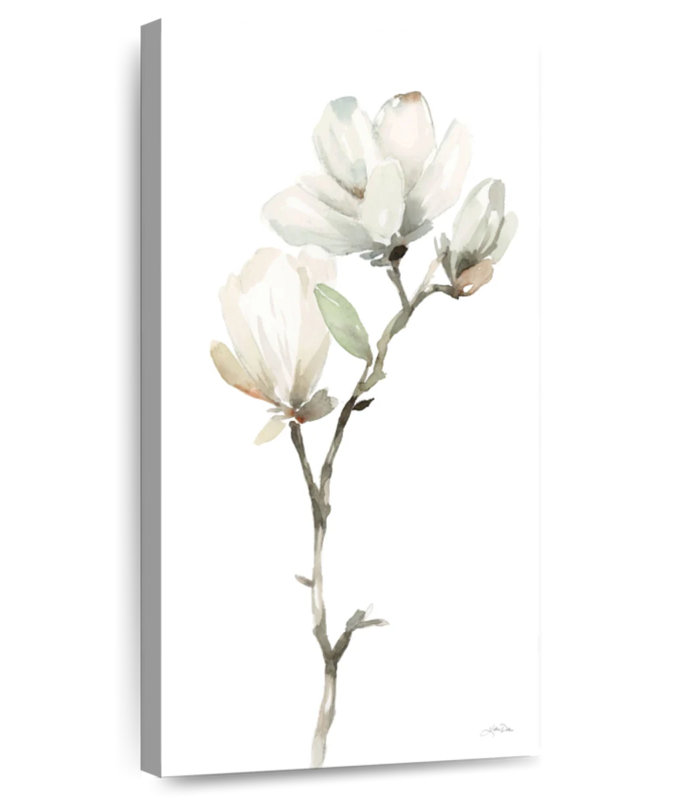 Blanc magnolia II