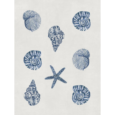 " Indigo Shells "