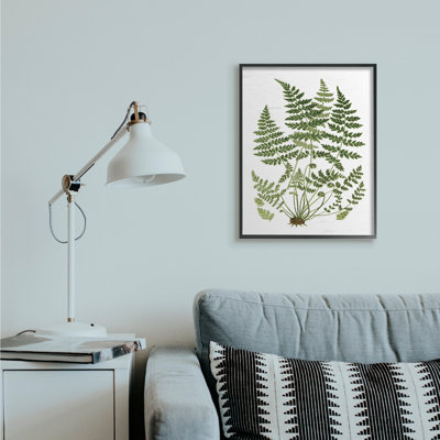 Plantes forestières