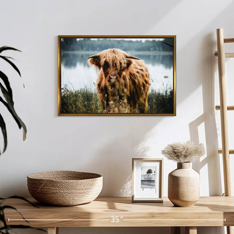 Vache Lakeside Highland, Cadre flottant doré, 19 po x 13 po