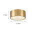 Modern Brass Cylindrical Flush Mount Ceiling Light