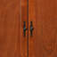Armoire traditionnelle élégante-1074057392