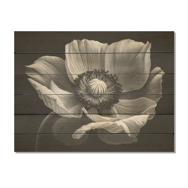 Black And White Mist Poppies - Poppies Wood Panel Wall Art On Natural Pine Wood, 30" H x 40" W