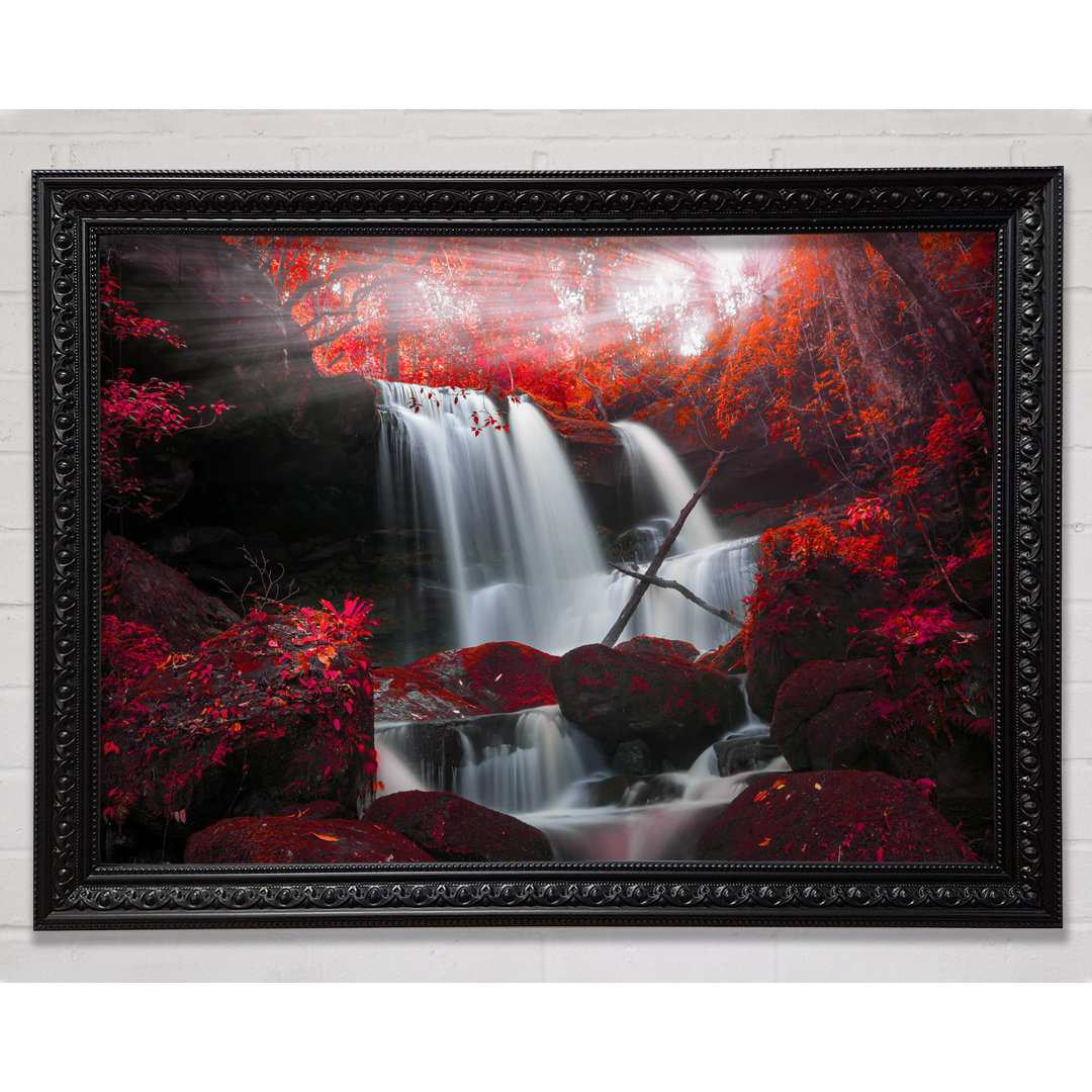 Red Forest Waterfall Delight - Druck