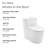 Arles One-Piece Elongated Toilet Vortex Dual-Flush 1.1/1.6 GPF