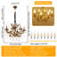 Chandelier-506168953-506168952
