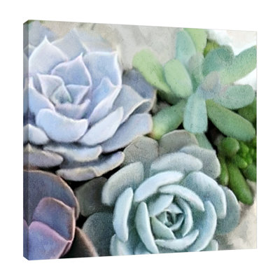 «Succulent Garden 2», toile tendue par Kimberly Allen